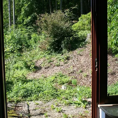 Maison Au Soleil 公寓 Egloffstein